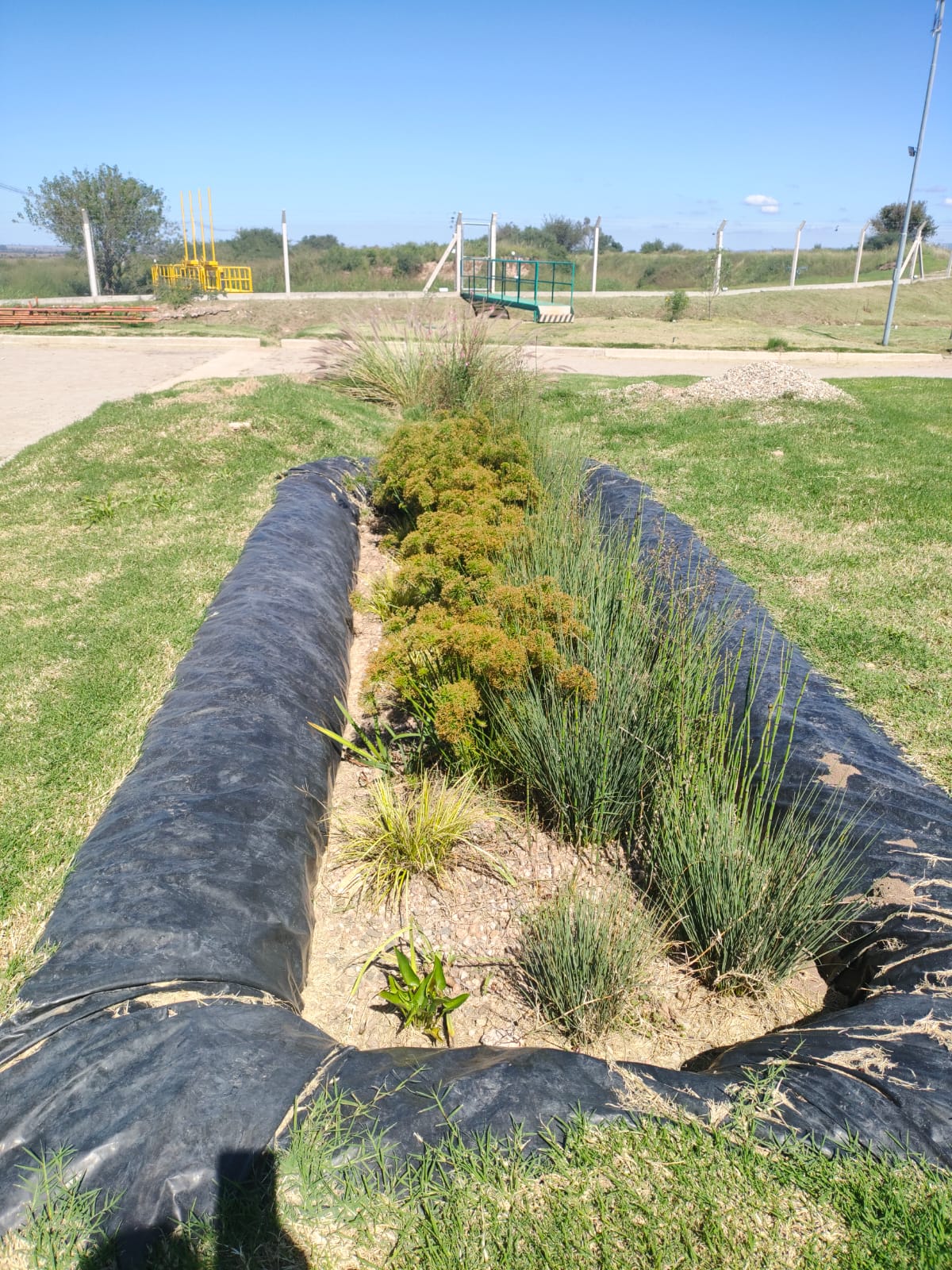 grupo biota 11