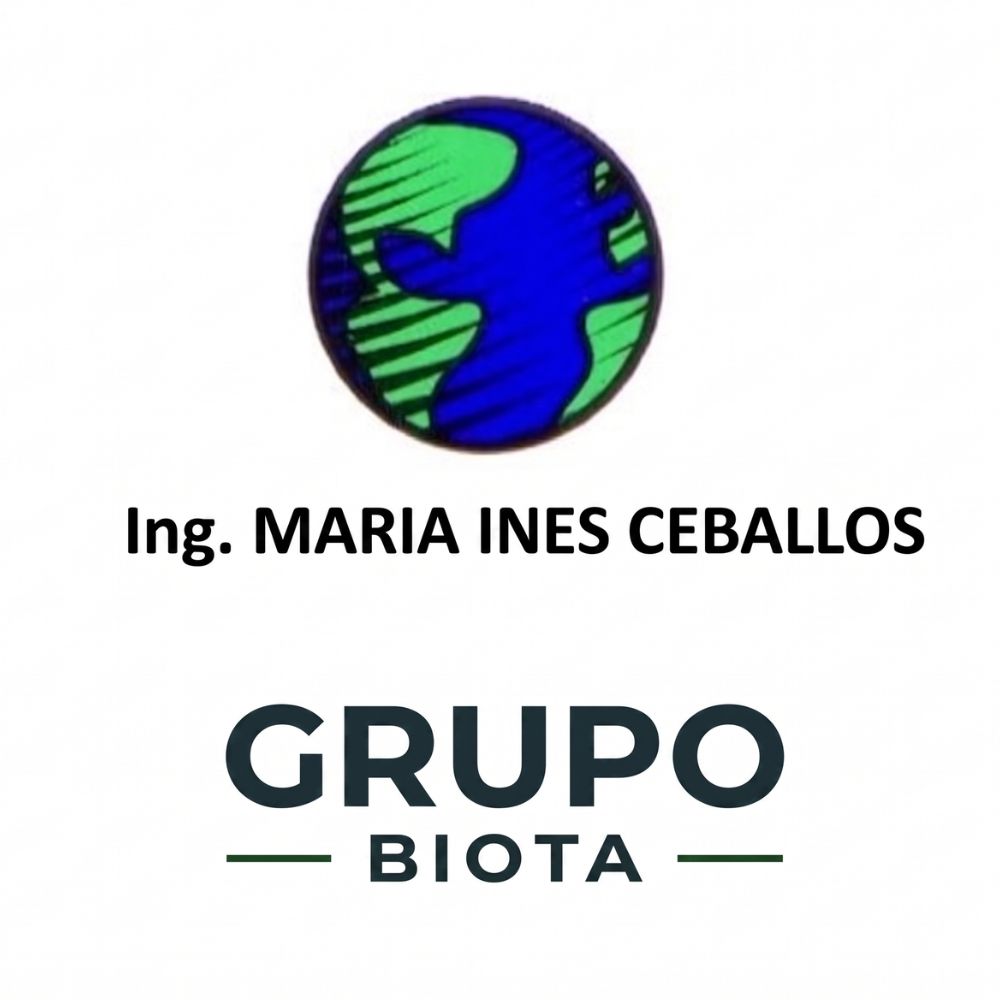 ing ceballos
