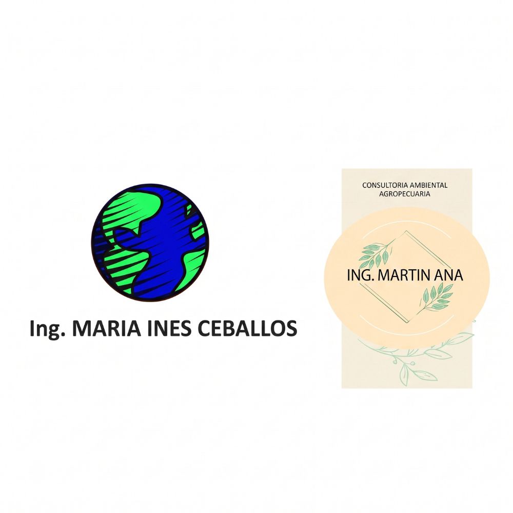 consultoras grupobiota
